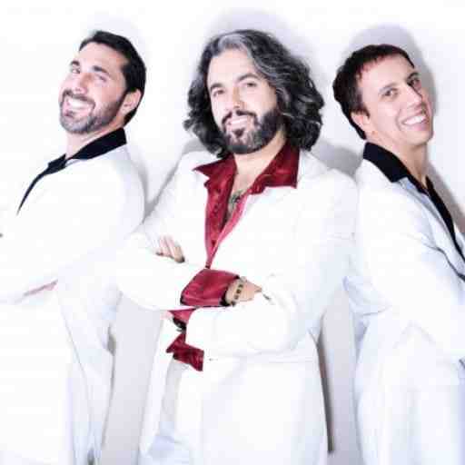 Bee Gees Gold - A Tribute to The Bee Gees